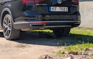 Kat die net ver genoeg onder een auto ligt waardoor je hen niet kan aaien